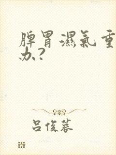 脾胃湿气重怎么办?