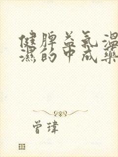 健脾益气温中化湿的中成药