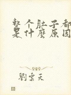 整个肚子都疼痛是什么原因