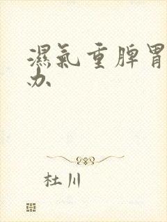 湿气重脾胃怎么办