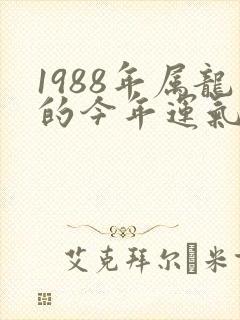 1988年属龙的今年运气怎么样