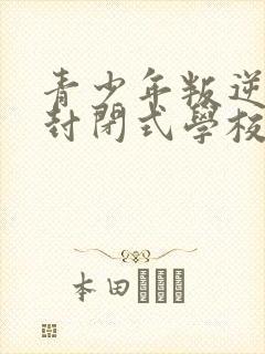 青少年叛逆正规封闭式学校封面