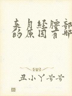 来月经腰部疼痛的原因有哪些