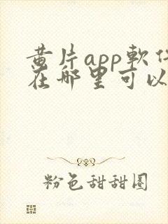 黄片app软件在哪里可以免费下载