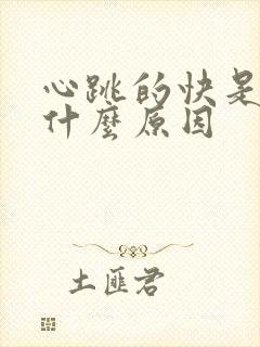 心跳的快是因为什么原因