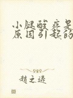 小腿酸疼是什么原因引起的