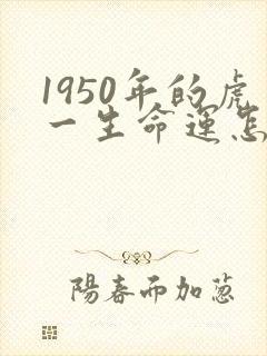 1950年的虎一生命运怎样