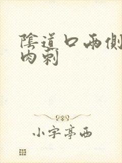 阴道口两侧有小肉刺