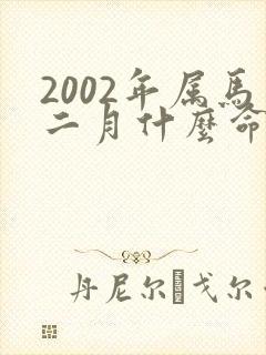 2002年属马二月什么命