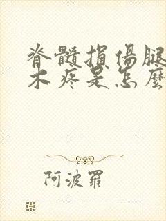 脊髓损伤腿脚麻木疼是怎么回事