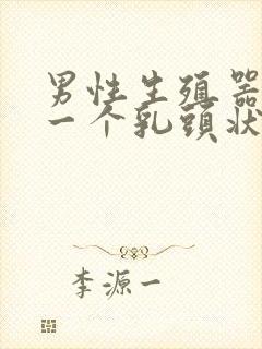 男性生殖器长了一个乳头状