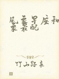 风象星座和哪个象最配