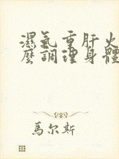 湿气重肝火旺怎么调理身体封面