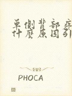 单侧背部疼痛是什么原因引起的封面