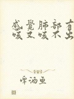 感觉肺部有痰想咳又咳不出吃什么药