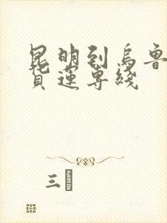 昆明到乌鲁木齐货运专线