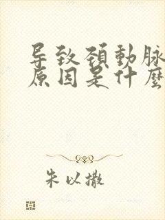 导致颈动脉斑块原因是什么