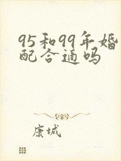 95和99年婚配合适吗