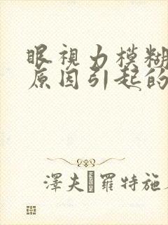 眼视力模糊什么原因引起的