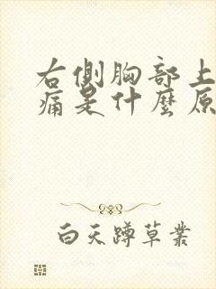 右侧胸部上方疼痛是什么原因引起的