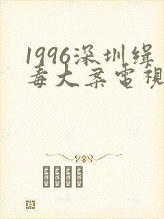 1996深圳缉毒大案电视剧封面