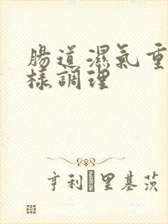 肠道湿气重怎么样调理