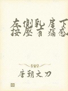 左侧乳房下边缘按压有痛感