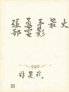 张勇手最火的5部电影封面