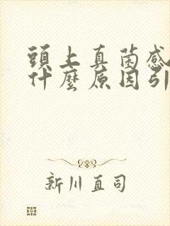 头上真菌感染是什么原因引起的