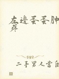 左边蛋蛋肿了很疼封面