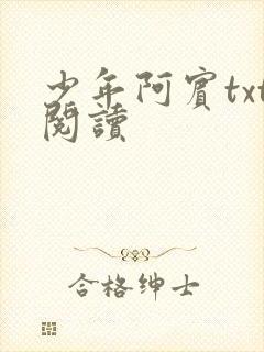 少年阿宾txt阅读