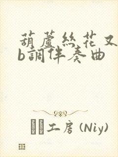 葫芦丝花又期降b调伴奏曲封面