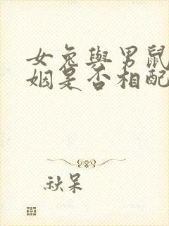 女兔与男鼠的婚姻是否相配封面