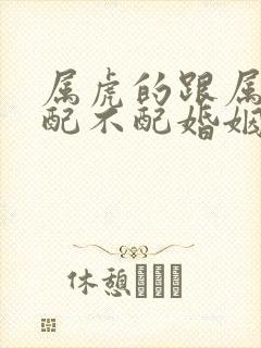 属虎的跟属兔的配不配婚姻