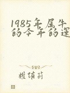 1985年属牛的今年的运气怎么样