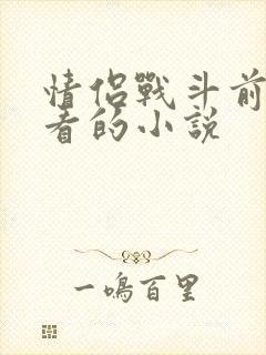 情侣战斗前适合看的小说封面