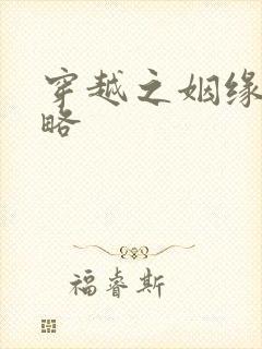 穿越之姻缘劫攻略封面