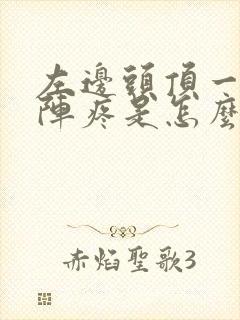 左边头顶一阵一阵疼是怎么回事封面