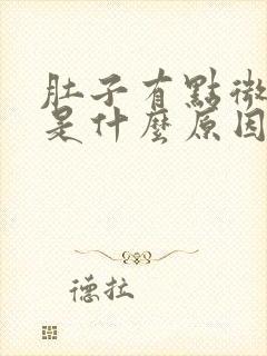 肚子有点微微疼是什么原因