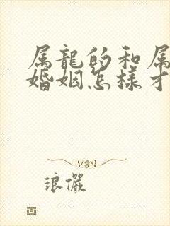 属龙的和属兔的婚姻怎样才能好封面