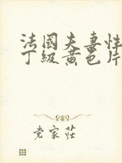 法国夫妻性生活丁级黄色片封面