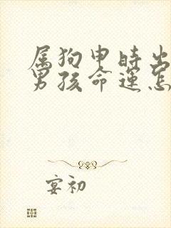 属狗申时出生的男孩命运怎么样