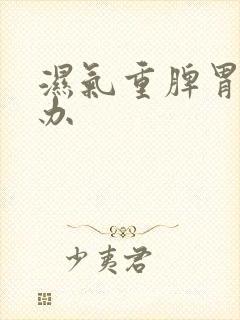 湿气重脾胃怎么办