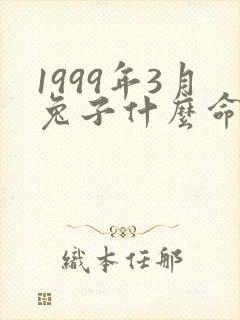 1999年3月兔子什么命