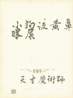 小狗流黄鼻涕有眼屎封面