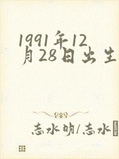 1991年12月28日出生是什么命封面