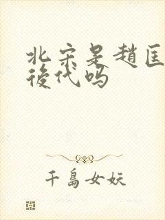 北宋是赵匡胤的后代吗