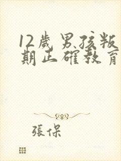 12岁男孩叛逆期正确教育方法