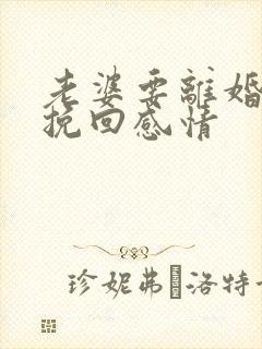 老婆要离婚如何挽回感情封面