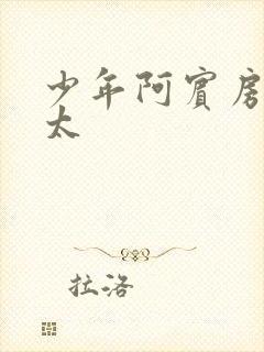 少年阿宾房东太太